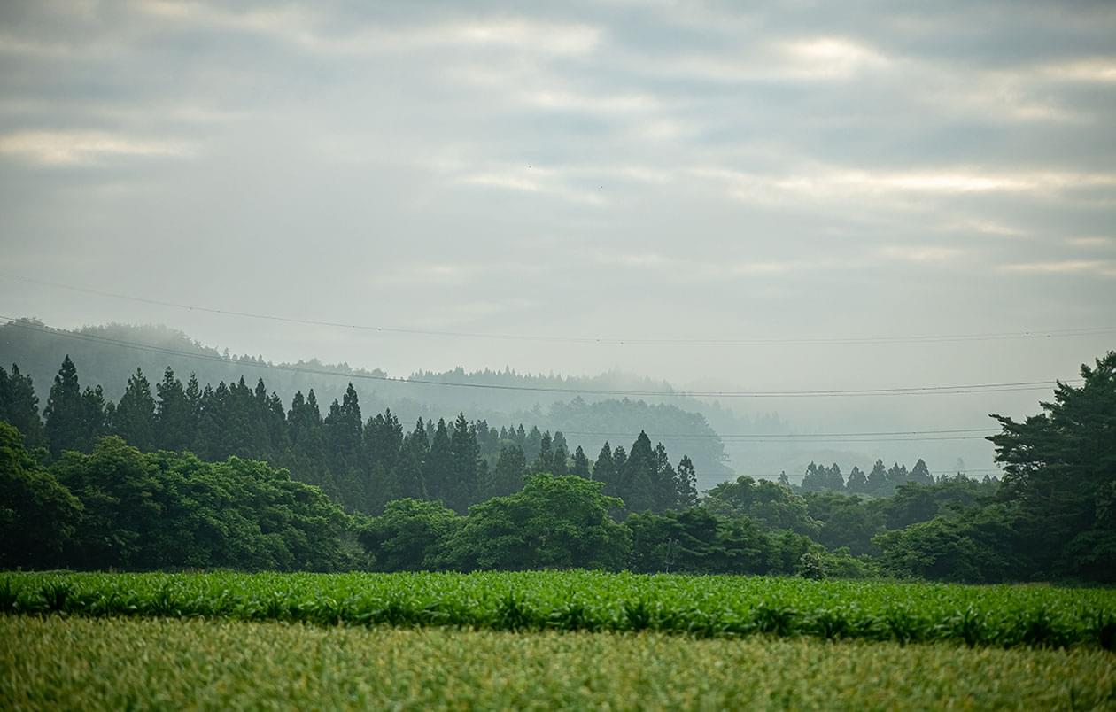 たっこ一号・美六姫