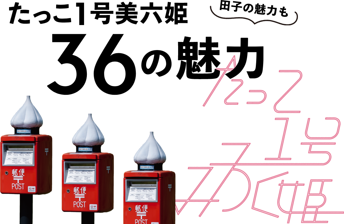 たっこ1号美六姫 36の魅力